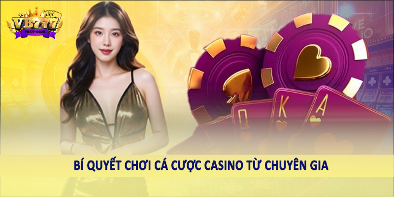 Casino 41 Bí quyết chơi cá cược casino từ chuyên gia