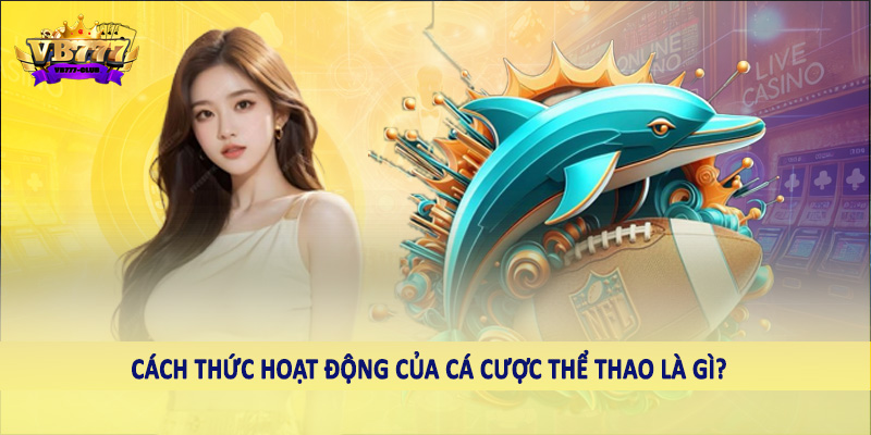 Cùng VB777 Club Giải Mã Câu Hỏi Cá Cược Thể Thao Là Gì? 5 Cách thức hoạt động của cá cược thể thao là gì?