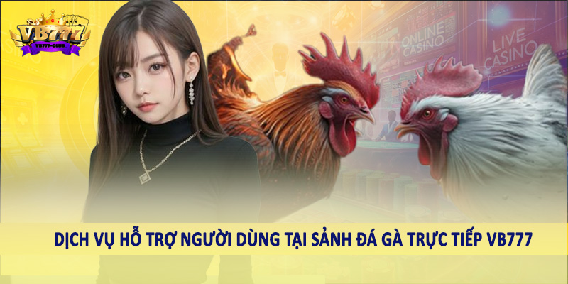 Đá Gà 39 Dịch vụ hỗ trợ người dùng tại sảnh đá gà trực tiếp VB777