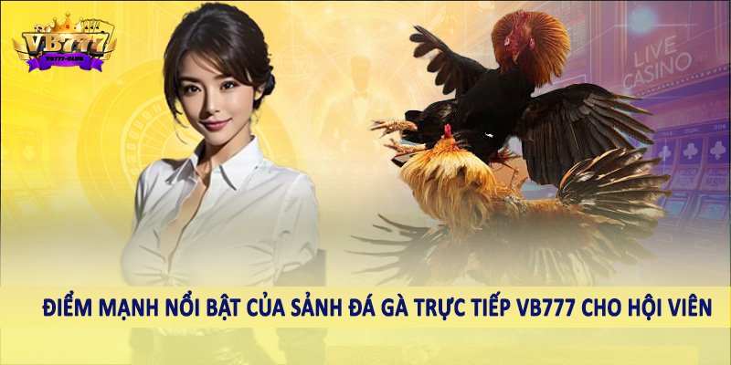 Đá Gà 38 Điểm mạnh nổi bật của sảnh đá gà trực tiếp VB777 cho hội viên