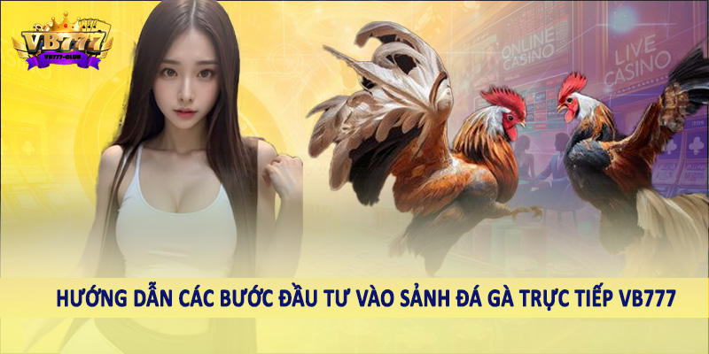 Đá Gà 40 Hướng dẫn các bước đầu tư vào sảnh đá gà trực tiếp VB777