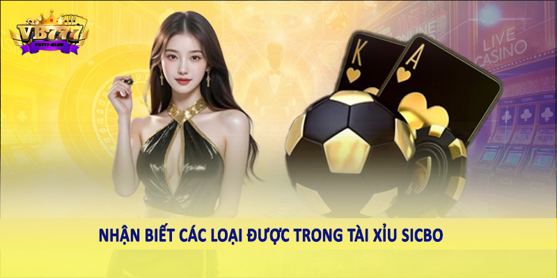 Cách Đọc Kết Quả Tài Xỉu Sicbo Một Cách Chính Xác Nhất 5 Nhận biết các loại được trong tài xỉu Sicbo