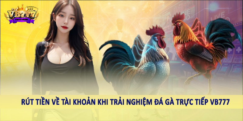 Đá Gà 41 Rút tiền về tài khoản khi trải nghiệm đá gà trực tiếp VB777