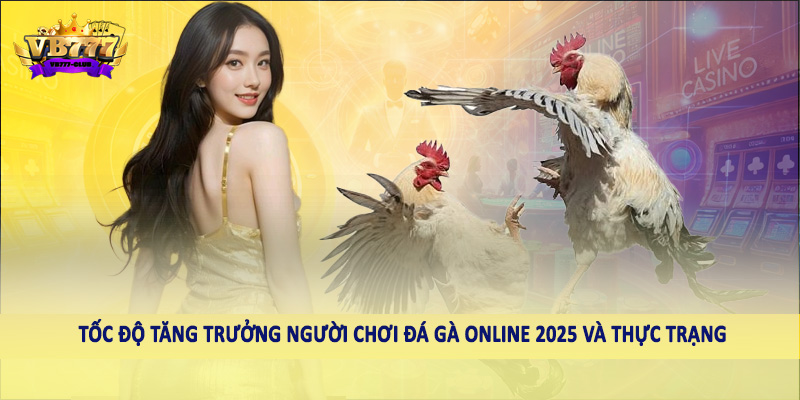 Tốc Độ Tăng Trưởng Người Chơi Đá Gà Online 2025 Cần Biết 3 Tốc độ tăng trưởng người chơi đá gà online 2025 và thực trạng